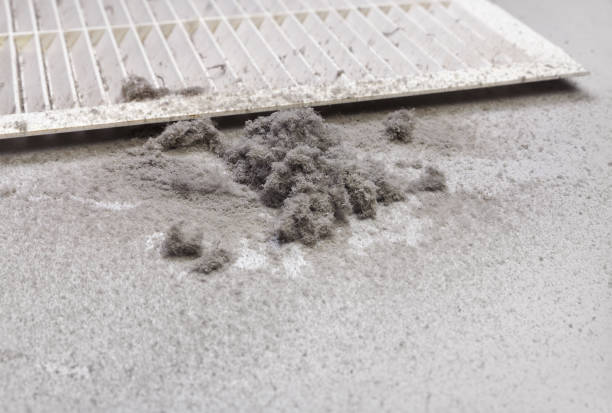 Best Affordable Duct Cleaning Services  in Grant, NE