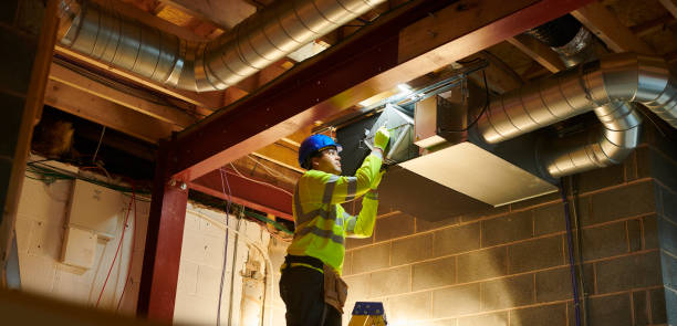 Air Duct Mold Removal in Grant, NE